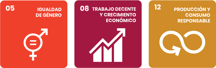 Three colored squares showing Sustainable Development Goals: Gender Equality with gender symbol, Decent Work and Economic Growth with rising graph, and Responsible Consumption and Production with circular arrows.