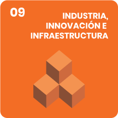 Orange square with the number 09 and the words Industria, Innovación e Infraestructura above three 3D orange cubes.